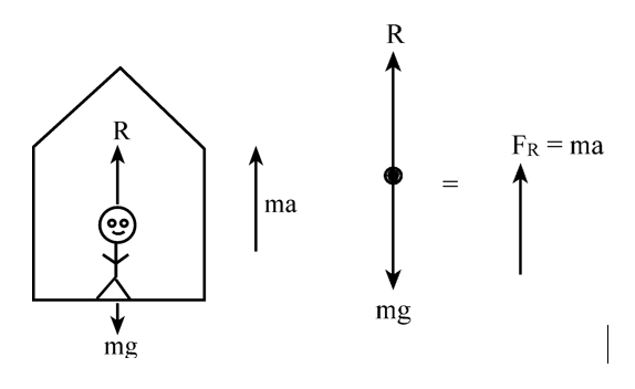 Dynamics | Laws Of Motion Class 11 | Physics | Notes