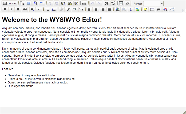 A screenshot of a WYSIWYG editor that is similar in layout to traditional word-processing software. 