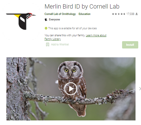 Merlin Bird ID