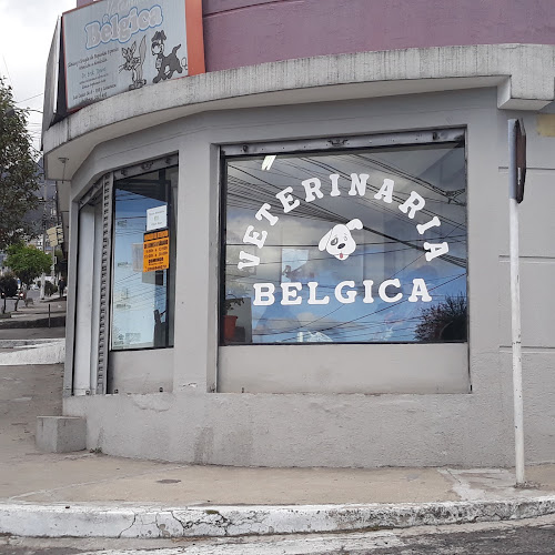 Opiniones de Veterinaria Belgica en Quito - Veterinario