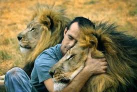 Image result for lion and man friendship animal planet
