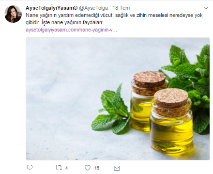 ayşetolga.png