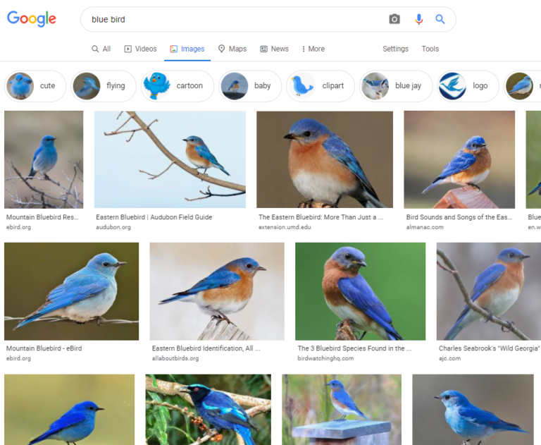 The 12 Best Image (Visual) Search Engines for Marketers