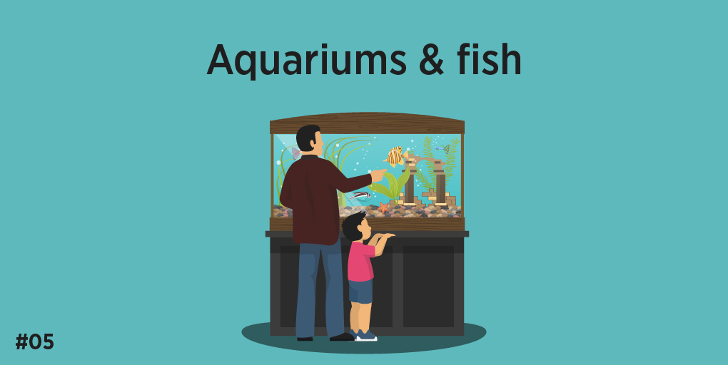 Aquarium, business idea
