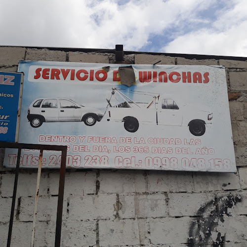 Servicio de Winchas