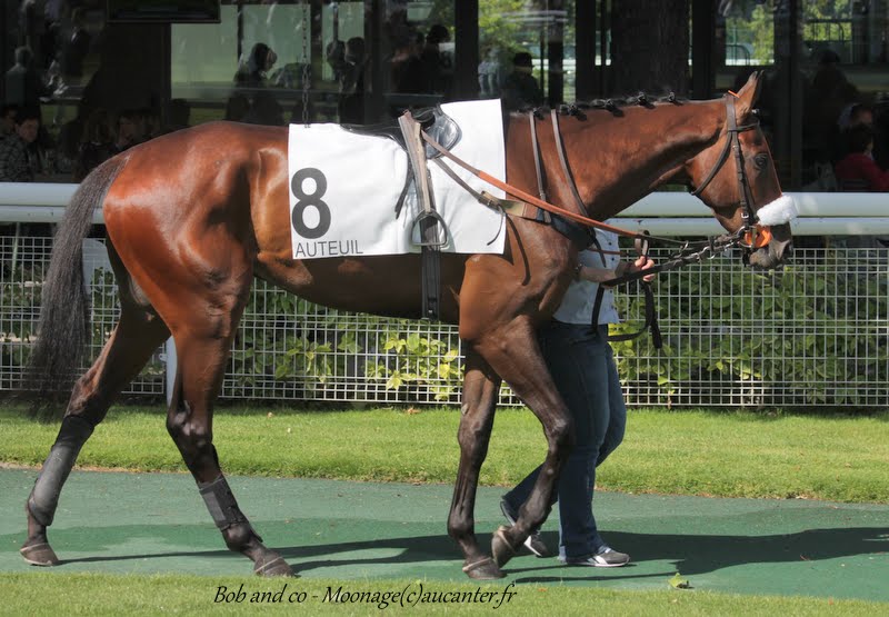Photos Auteuil 7-06-2015 Journée Grande Course de Haies - Page 3 LZe5l1ospb0Frpmj_LedAy-Jqeu6RuG3qxKfy5d7gHOQ=w800-h555-no