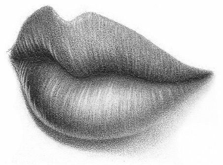 lip sketch
