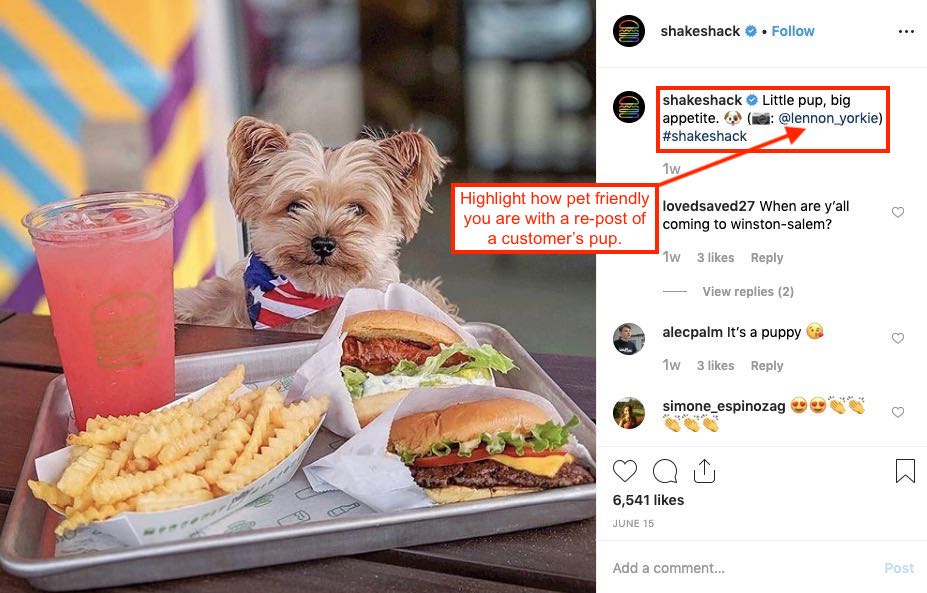 Instagram post of a puppy at Shake Shack