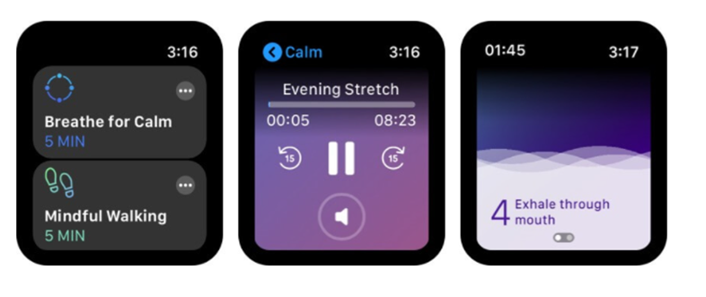 Calm: A Must Try Stress Monitor App
