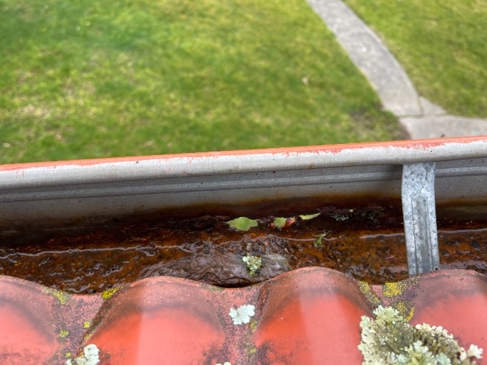 Gutters rust if you don’t clean them