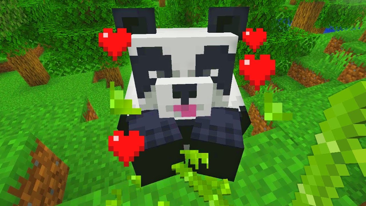 Breeding Pandas in Minecraft