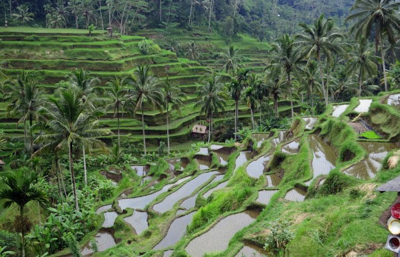 Time for Bali to get serious about sustainable tourism | Gapura Bali
