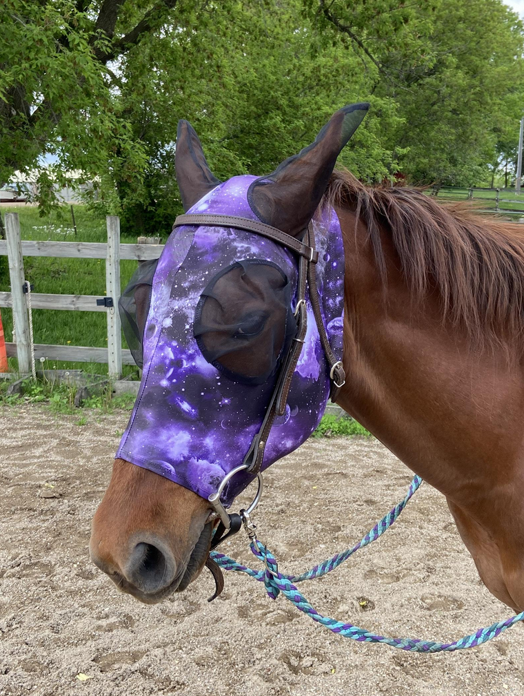 galaxy fly mask with ears