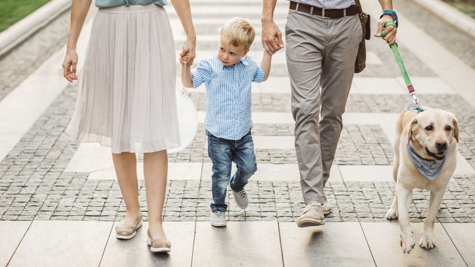 Man and woman holding hands with a small boy while walking a labrador retreiver