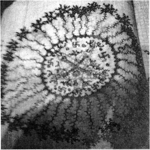 D:\0 wd yedek\acr yedek\1 film indirme\forbidden_magic_ancients_7_dosyalar\image151.jpg