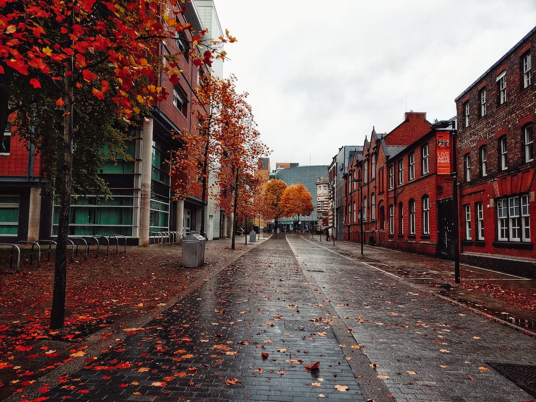 Autumn Road near Manchester University.