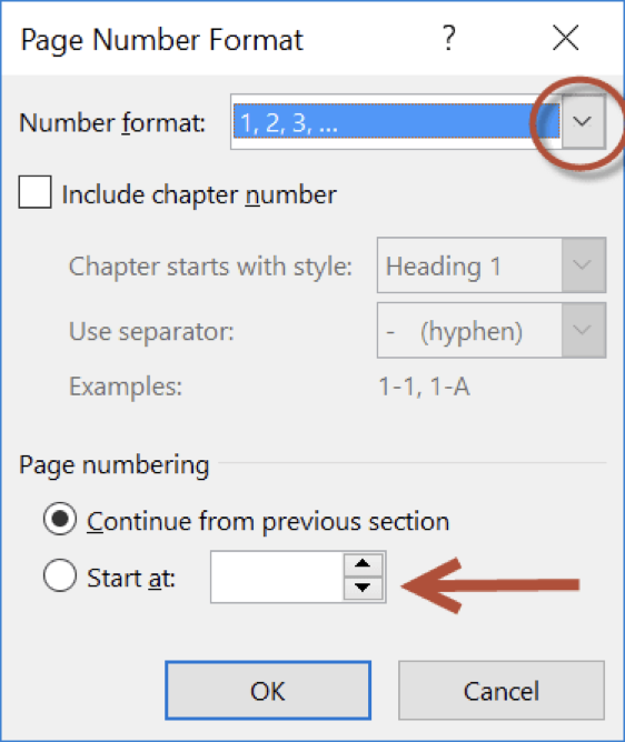 click on the dropdown menu on "number format" and then, at the bottom of the menu below "page numbering," select "start at" and choose the appropriate page