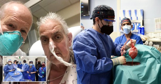 Medical Marvels