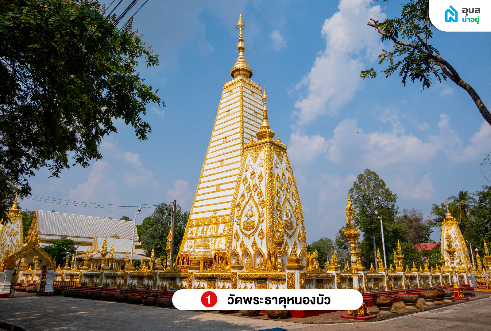 วัดพระธาตุหนองบัว