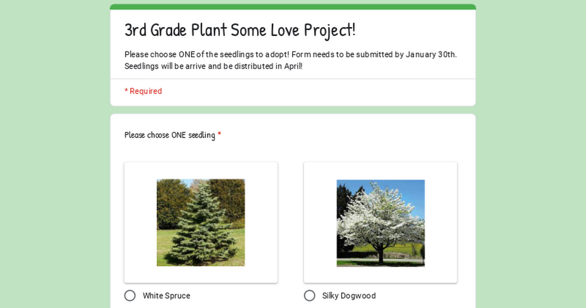 3rd Grade Plant Some Love Project!