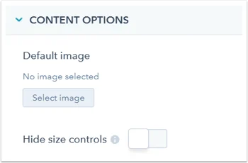 Content Options