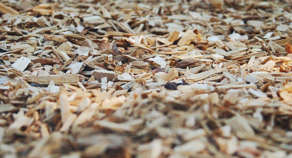 Bark, Chips, Wood, Park, Mulch, Nature, Tree, Texture