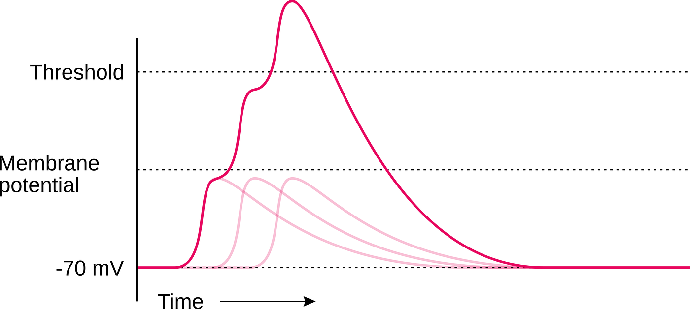 temporal summation