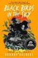Book Cover: Black Birds in the Sky