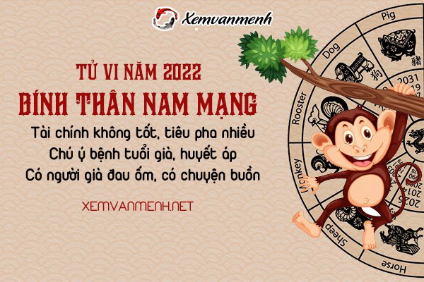 tu-vi-tuoi-binh-than-nam-2022-nam-mang-2004