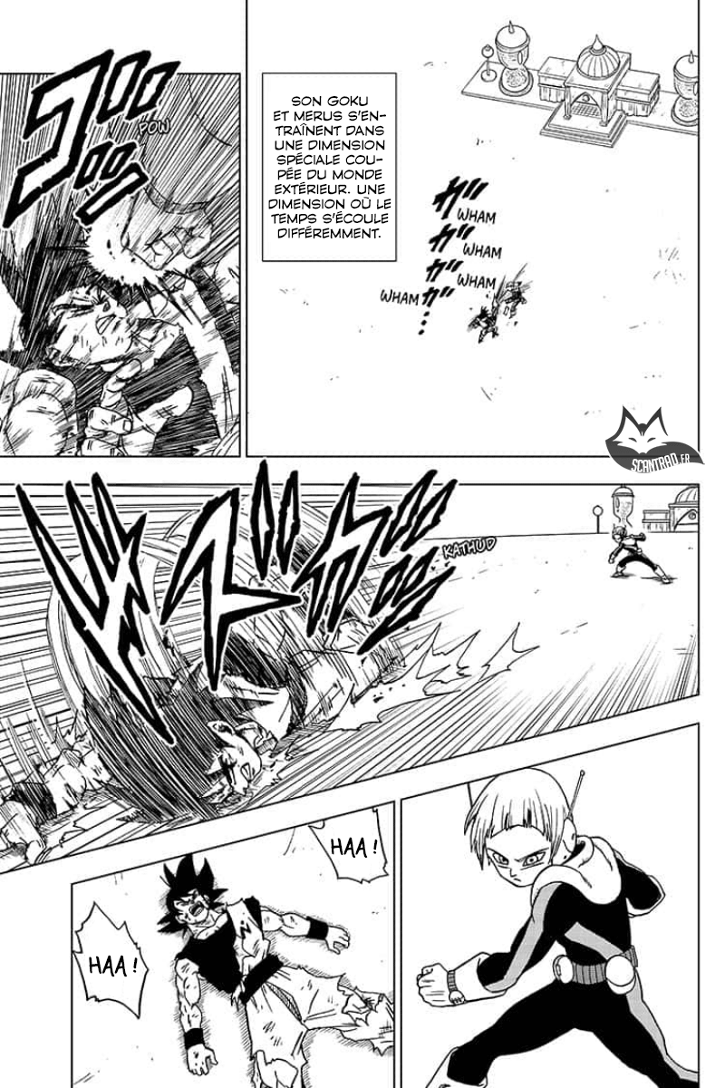 Dragon Ball Super Chapitre 53 - Page 43