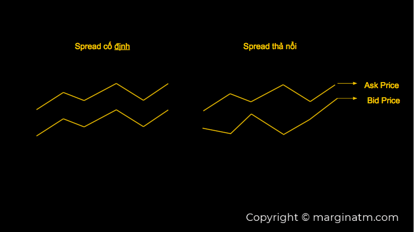 phân loại spread