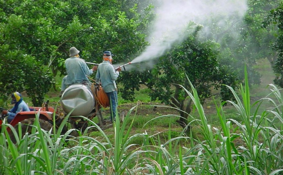 Foliar Spray