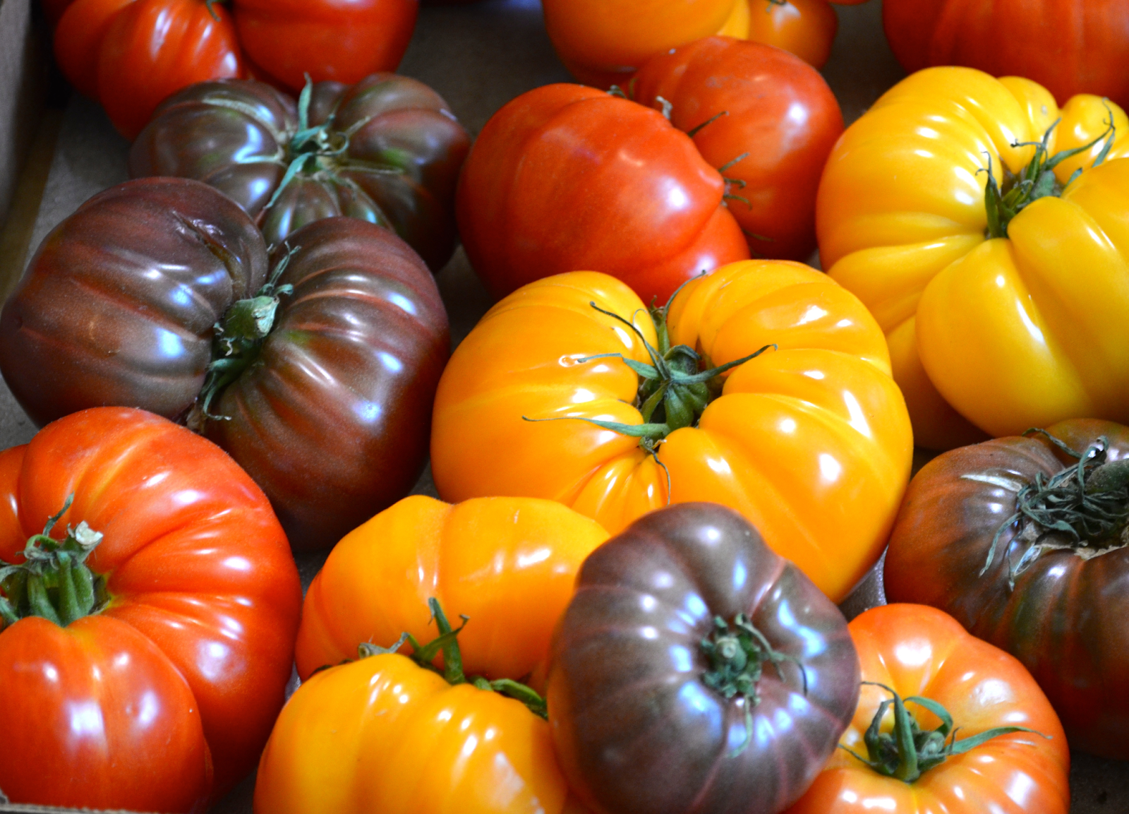 Why are heirloom tomatoes so expensive