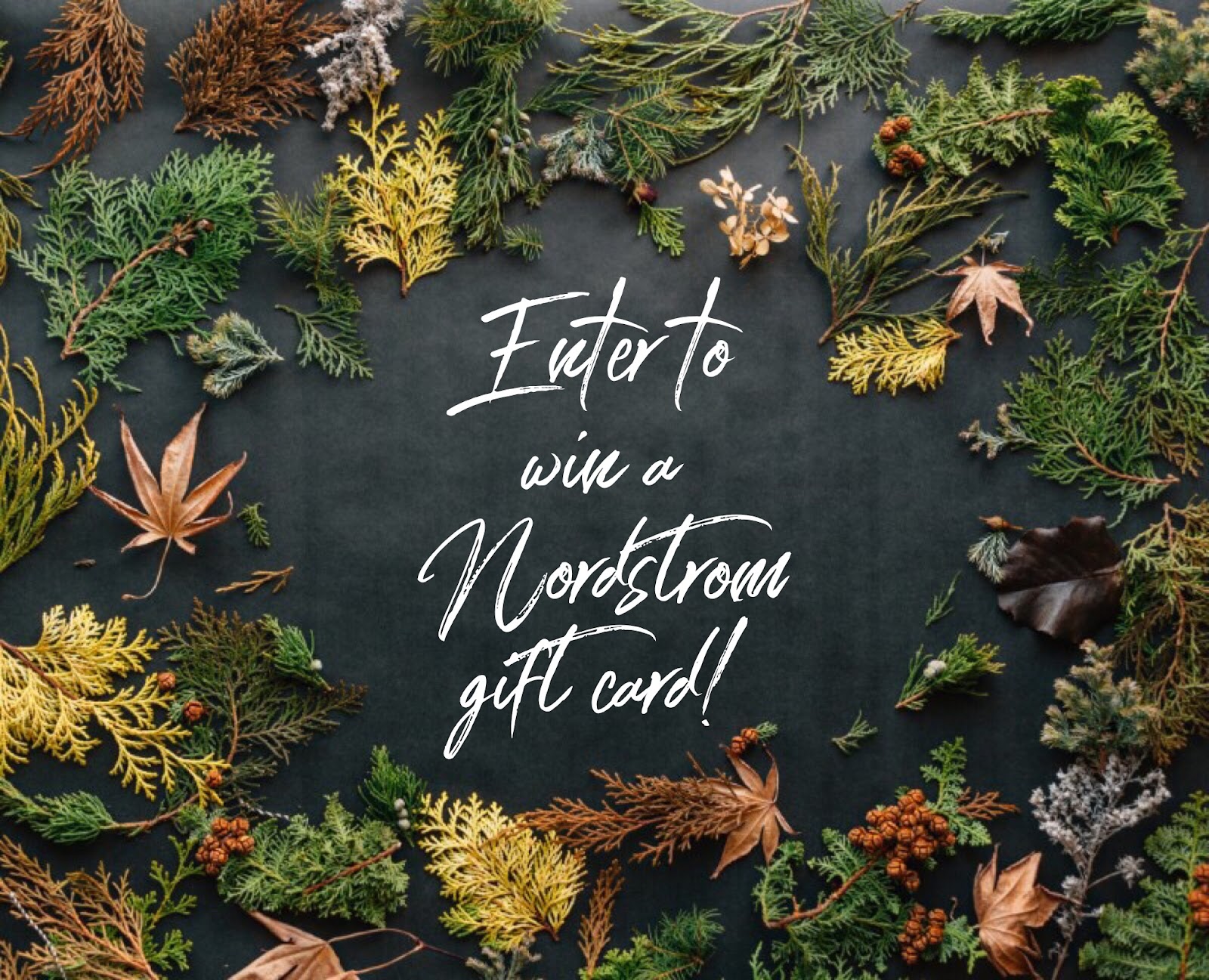 $100 Nordstrom Gift Card Giveaway $100 Nordstrom Gift Card Giveaway