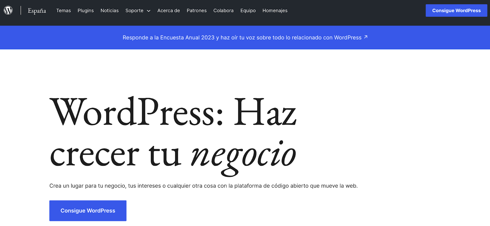 Sitio web de WordPress