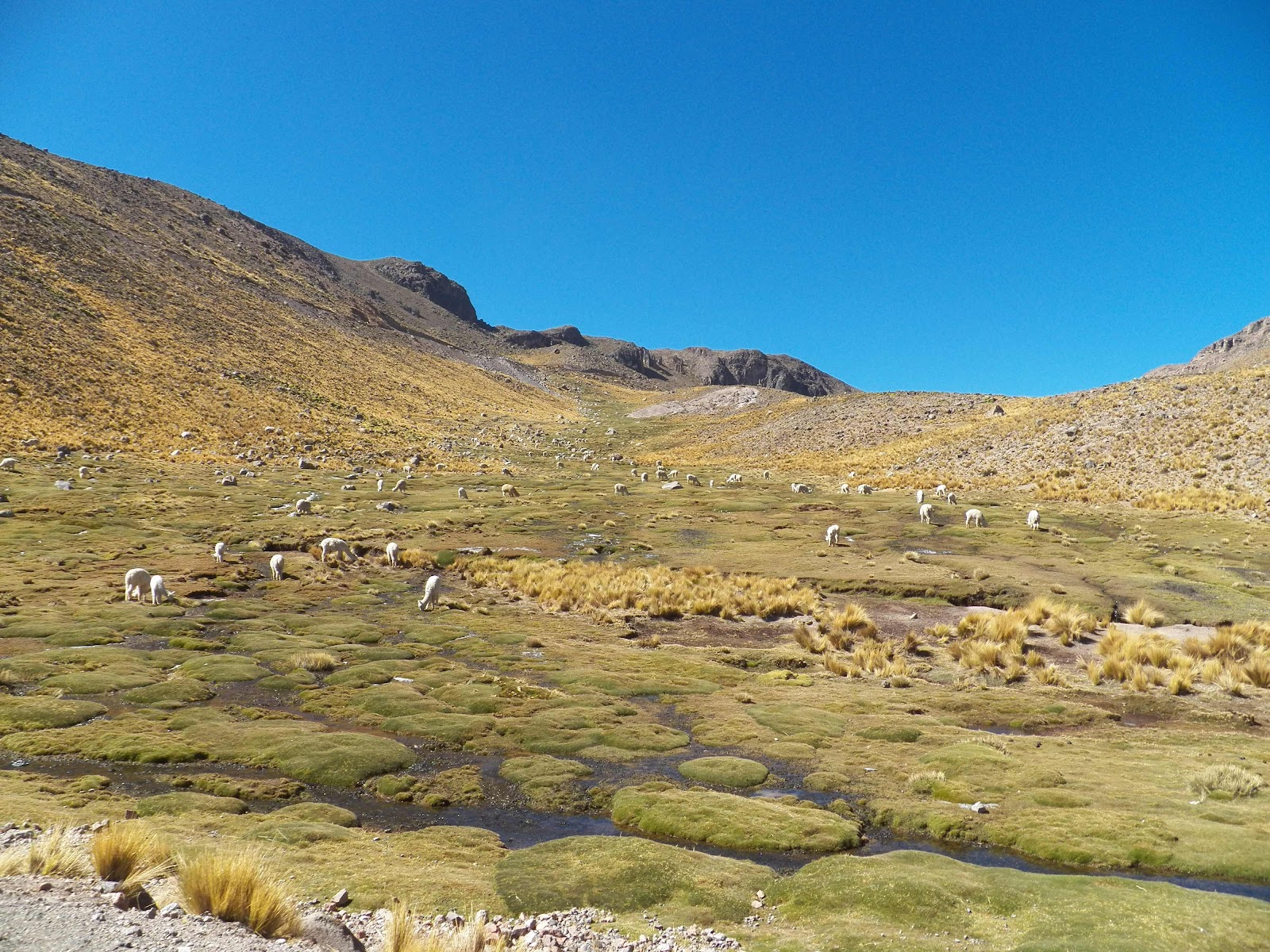 Cordillera close to Colca Canyon, Peru