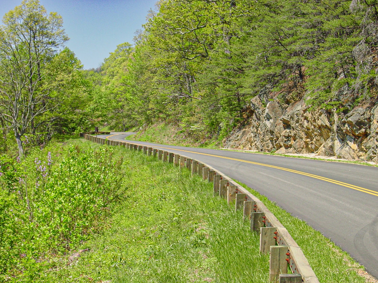 A roadway curves into a green slope. 
