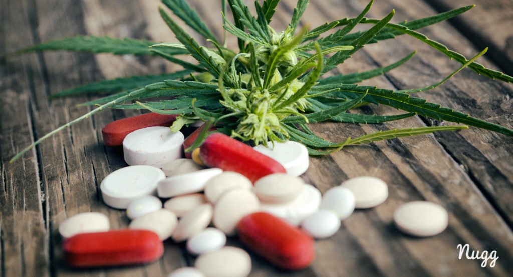 Cannabis or Medical Marijuana Vs Opiods