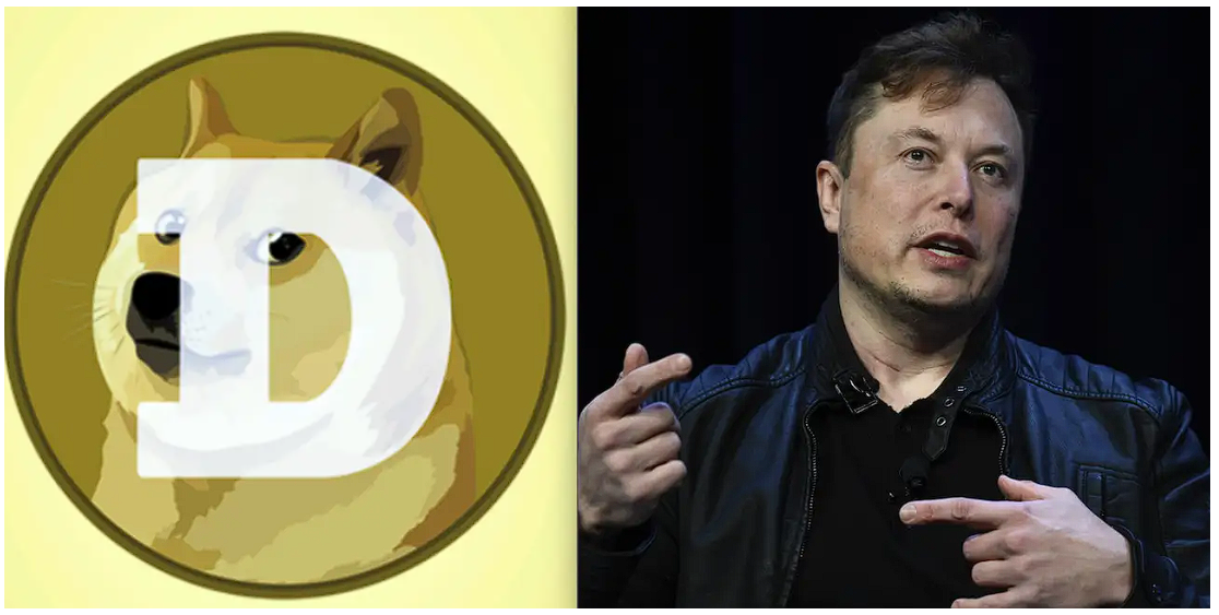 meme coin dogecoin