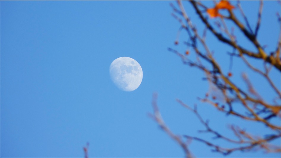 2015 Moon.jpg