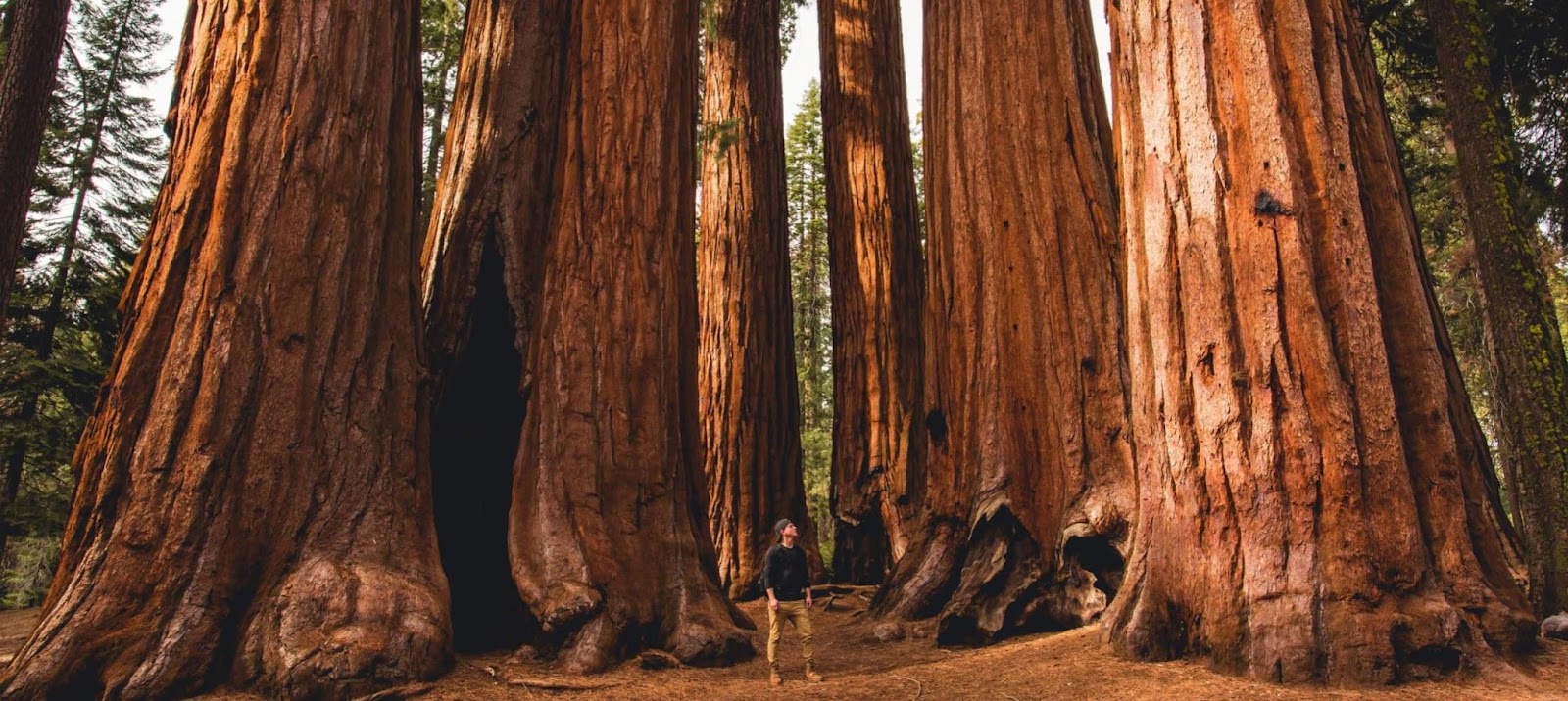 What Airport Is Closest To Sequoia National Park