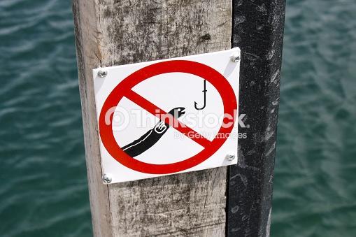 Image result for no eel sign