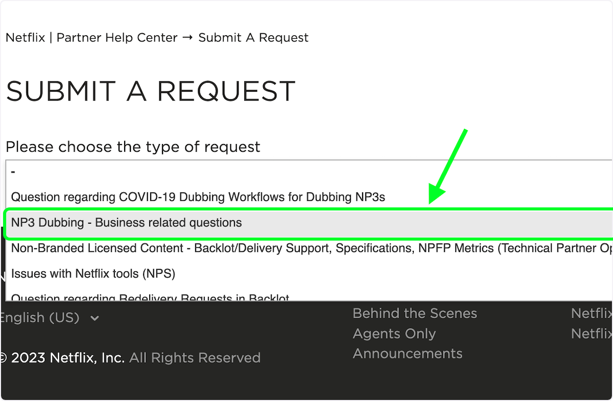 Click on NP3 Dubbing - Business related questions