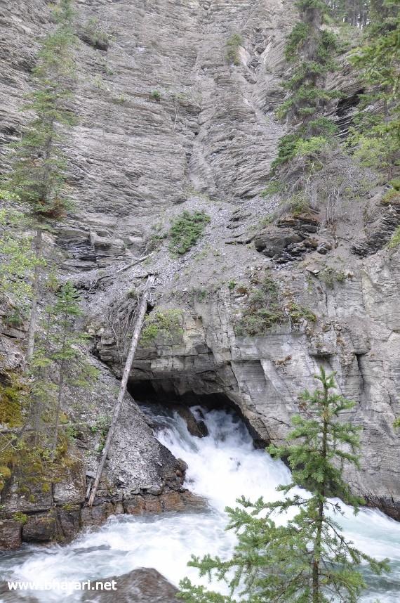 Underground streams greatly add to the flow of Maligne River. Seen here is a stream gushing out of the canyon wall.