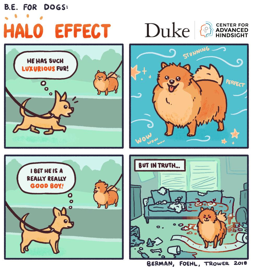 Halo Effect
