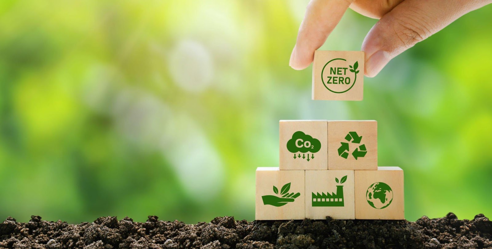 grow-startup-environmental-friendly