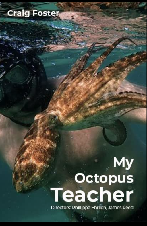 my octopus teacher netflix