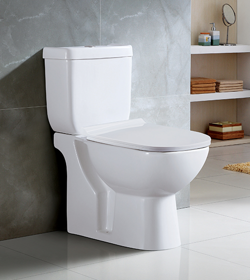 Floor Standing Water Closet