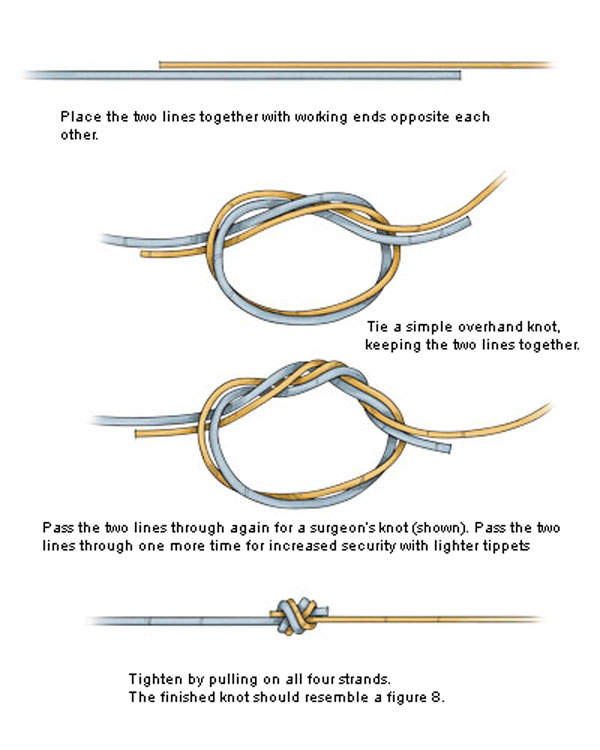 fishing knot for attaching leader and the tippet