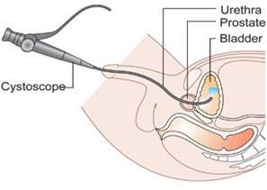 A picture containing sketch, tool, illustration, design

Description automatically generated